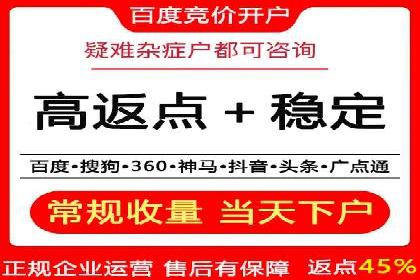 百度竞价推广经典案例解读